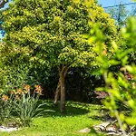 Prázdninový dům Maison Cap Brun Jardin Parking *
