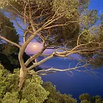 Maison Cap Brun Jardin Parking Toulon