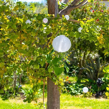 Maison Cap Brun Jardin Parking Prázdninový dům Toulon