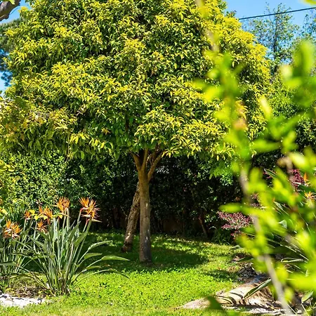 Feriehus Maison Cap Brun Jardin Parking *