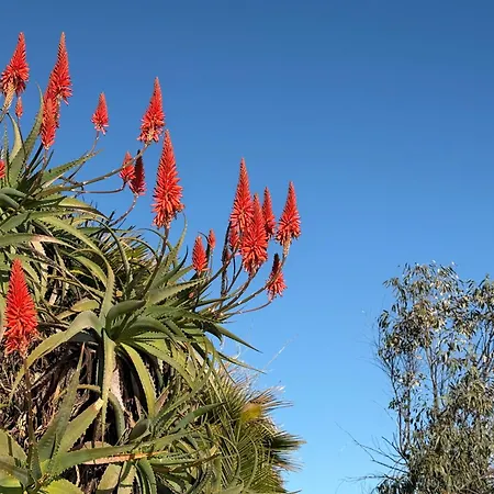 Maison Cap Brun Jardin Parking Toulon