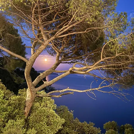 Maison Cap Brun Jardin Parking Toulon