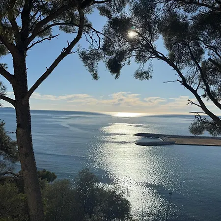 Maison Cap Brun Jardin Parking