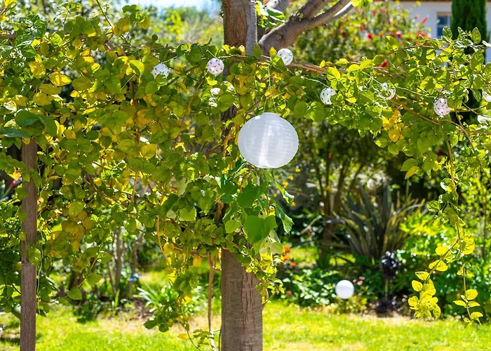 Maison Cap Brun Jardin Parking Semesterbostad Toulon