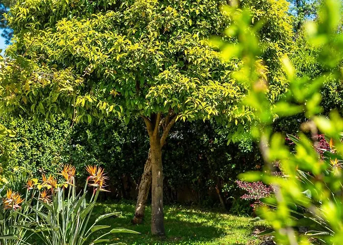 Semesterbostad Maison Cap Brun Jardin Parking *