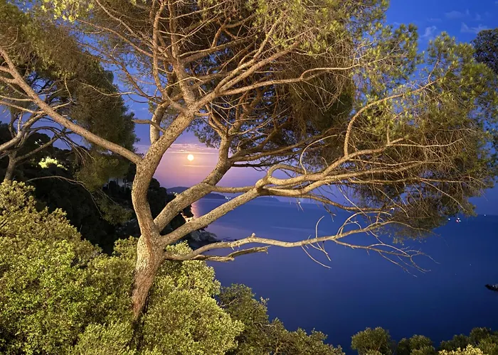 Maison Cap Brun Jardin Parking Toulon